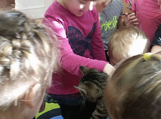 Poznajemy zwierzęta domowe, wizyta Pani ze schroniska