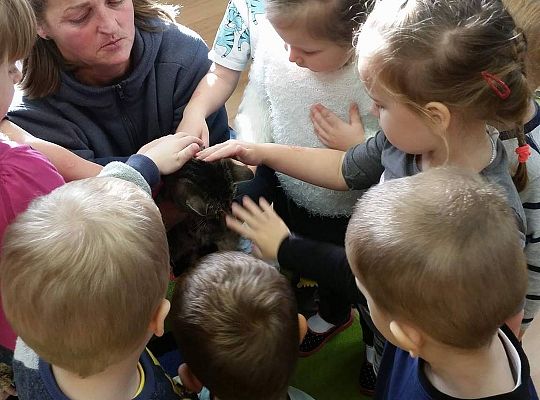 Poznajemy zwierzęta domowe, wizyta Pani ze schroniska