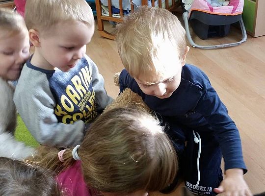 Poznajemy zwierzęta domowe, wizyta Pani ze schroniska