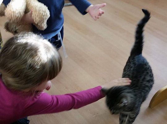 Poznajemy zwierzęta domowe, wizyta Pani ze schroniska