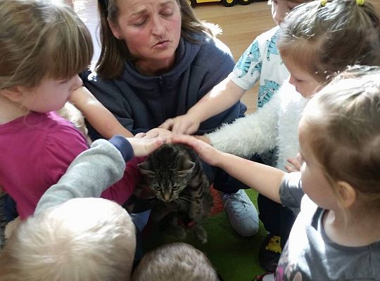Poznajemy zwierzęta domowe, wizyta Pani ze schroniska