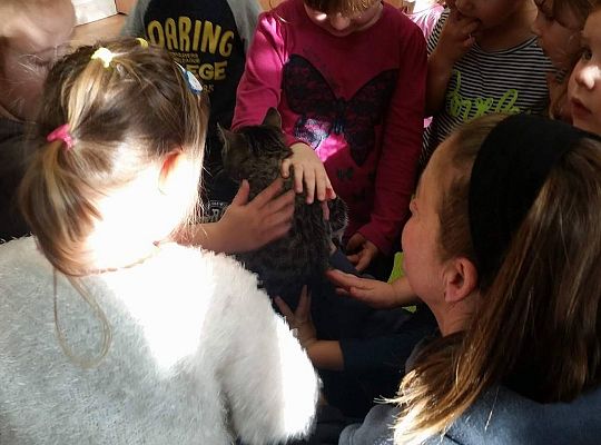 Poznajemy zwierzęta domowe, wizyta Pani ze schroniska