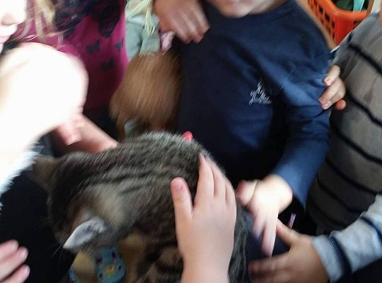 Poznajemy zwierzęta domowe, wizyta Pani ze schroniska