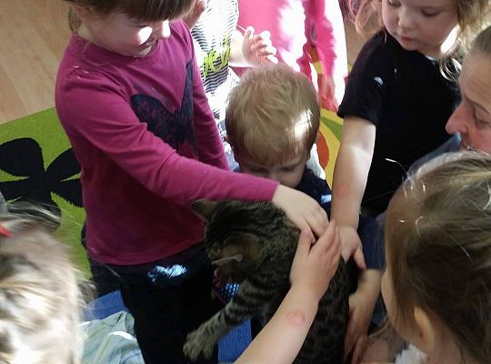 Poznajemy zwierzęta domowe, wizyta Pani ze schroniska