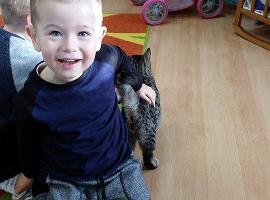 Poznajemy zwierzęta domowe, wizyta Pani ze schroniska