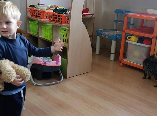 Poznajemy zwierzęta domowe, wizyta Pani ze schroniska