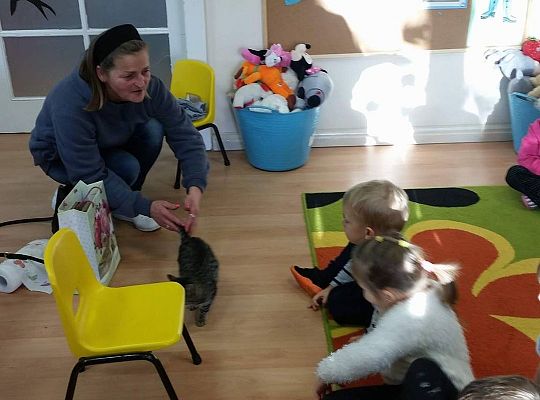 Poznajemy zwierzęta domowe, wizyta Pani ze schroniska