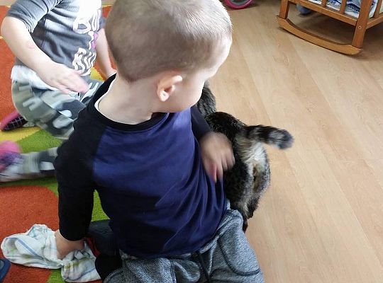 Poznajemy zwierzęta domowe, wizyta Pani ze schroniska