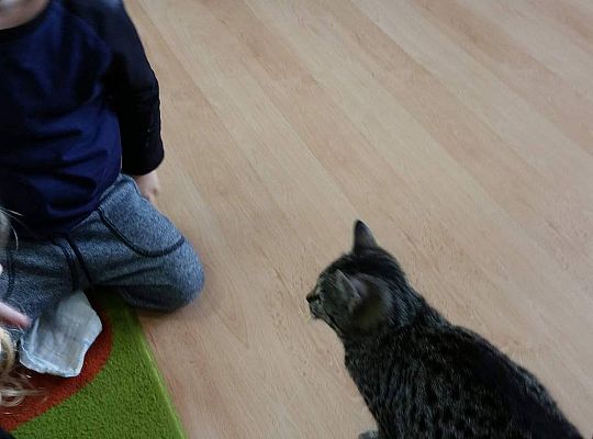 Poznajemy zwierzęta domowe, wizyta Pani ze schroniska