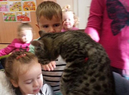 Poznajemy zwierzęta domowe, wizyta Pani ze schroniska