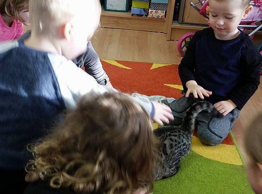 Poznajemy zwierzęta domowe, wizyta Pani ze schroniska