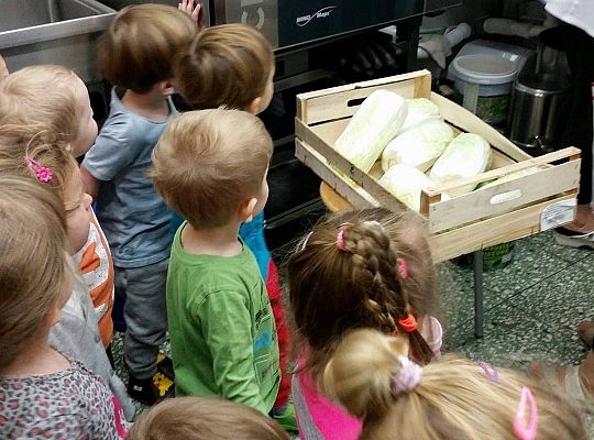 Wizyta w kuchni. Ciąg dalszy poznawania sprzętów elektrycznych