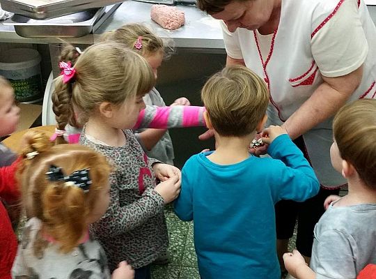 Wizyta w kuchni. Ciąg dalszy poznawania sprzętów elektrycznych