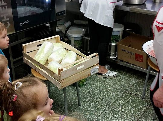 Wizyta w kuchni. Ciąg dalszy poznawania sprzętów elektrycznych