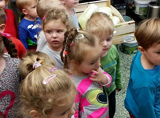 Wizyta w kuchni. Ciąg dalszy poznawania sprzętów elektrycznych