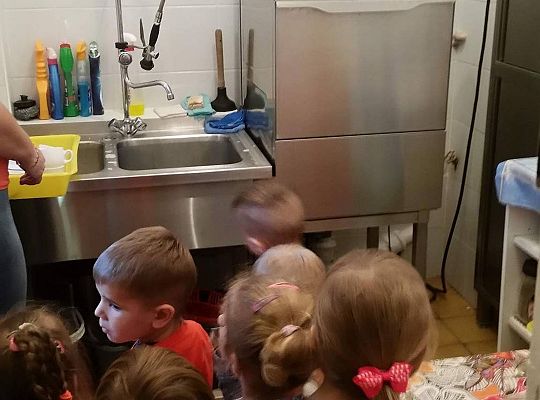 Wizyta w kuchni. Ciąg dalszy poznawania sprzętów elektrycznych