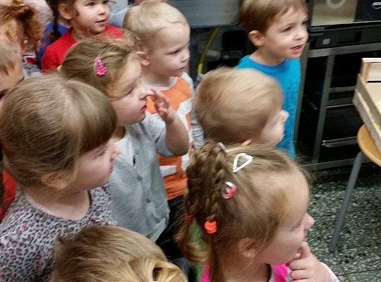 Wizyta w kuchni. Ciąg dalszy poznawania sprzętów elektrycznych