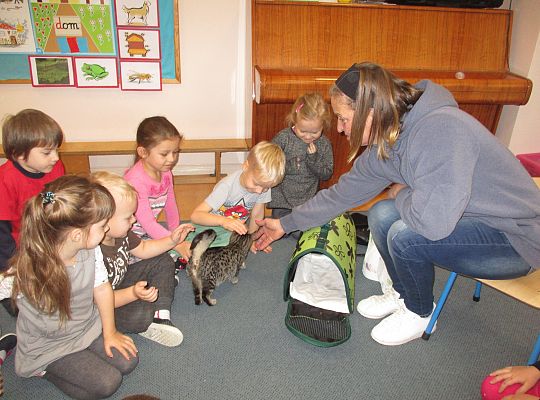 Poznajemy zwierzęta domowe, wizyta Pani ze schroniska-gr II