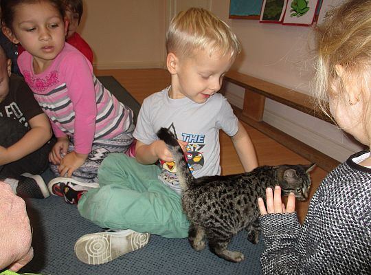 Poznajemy zwierzęta domowe, wizyta Pani ze schroniska-gr II