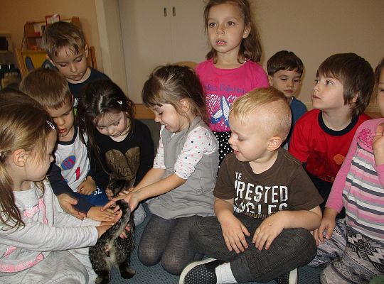 Poznajemy zwierzęta domowe, wizyta Pani ze schroniska-gr II