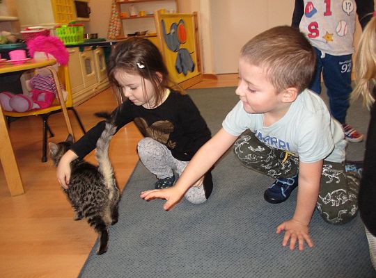 Poznajemy zwierzęta domowe, wizyta Pani ze schroniska-gr II