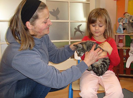 Poznajemy zwierzęta domowe, wizyta Pani ze schroniska-gr II