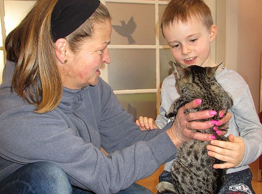 Poznajemy zwierzęta domowe, wizyta Pani ze schroniska-gr II