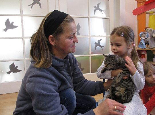 Poznajemy zwierzęta domowe, wizyta Pani ze schroniska-gr II