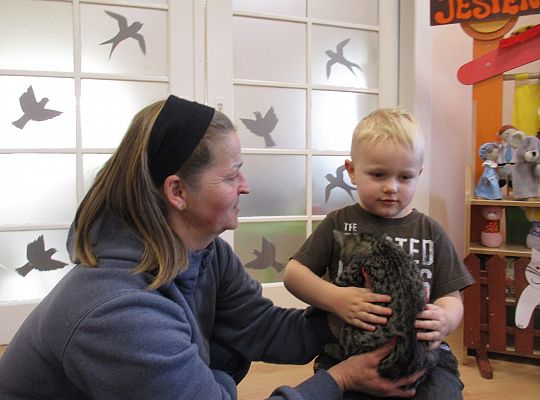 Poznajemy zwierzęta domowe, wizyta Pani ze schroniska-gr II