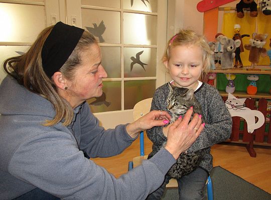 Poznajemy zwierzęta domowe, wizyta Pani ze schroniska-gr II