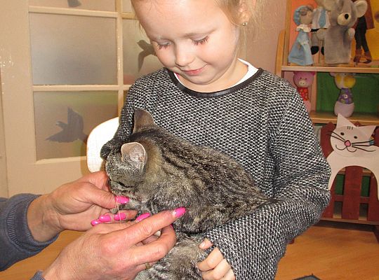 Poznajemy zwierzęta domowe, wizyta Pani ze schroniska-gr II