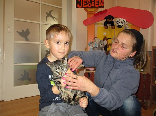 Poznajemy zwierzęta domowe, wizyta Pani ze schroniska-gr II