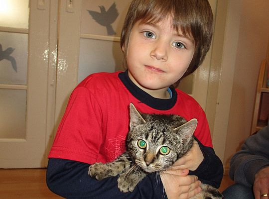 Poznajemy zwierzęta domowe, wizyta Pani ze schroniska-gr II