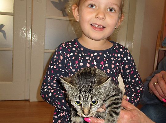 Poznajemy zwierzęta domowe, wizyta Pani ze schroniska-gr II