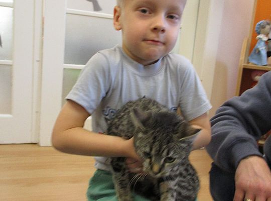 Poznajemy zwierzęta domowe, wizyta Pani ze schroniska-gr II