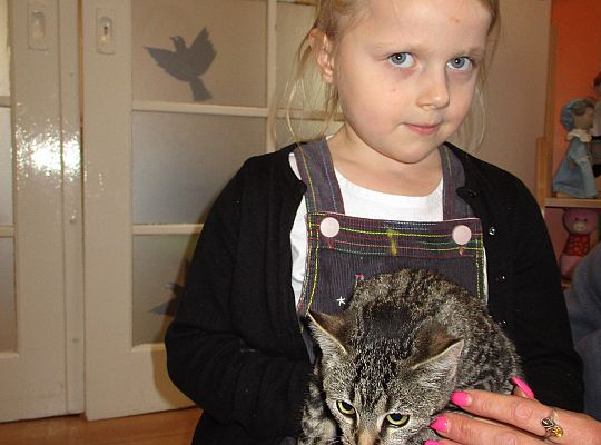 Poznajemy zwierzęta domowe, wizyta Pani ze schroniska-gr II