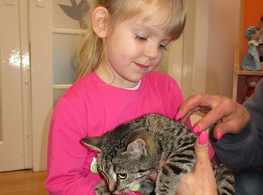 Poznajemy zwierzęta domowe, wizyta Pani ze schroniska-gr II