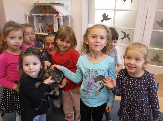 Poznajemy zwierzęta domowe, wizyta Pani ze schroniska-gr II