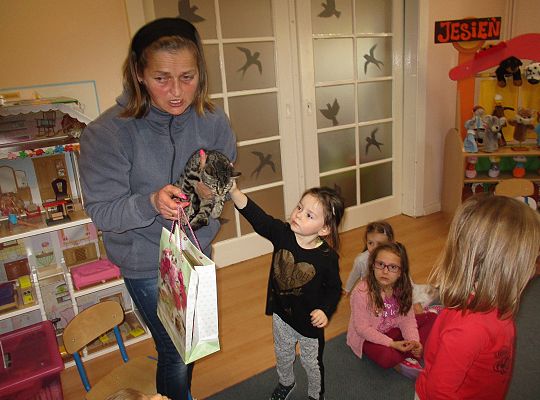 Poznajemy zwierzęta domowe, wizyta Pani ze schroniska-gr II