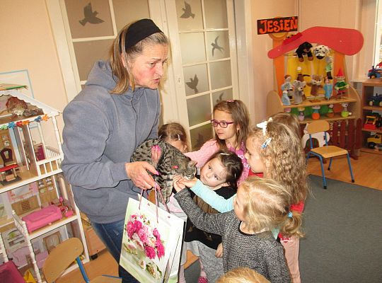 Poznajemy zwierzęta domowe, wizyta Pani ze schroniska-gr II