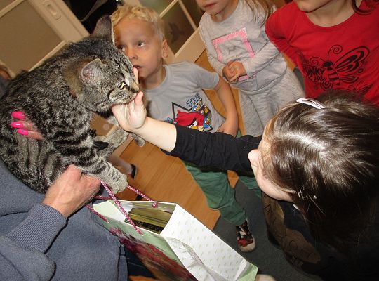 Poznajemy zwierzęta domowe, wizyta Pani ze schroniska-gr II