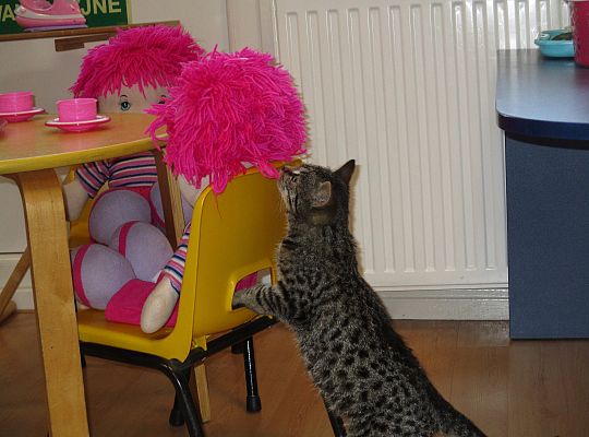 Poznajemy zwierzęta domowe, wizyta Pani ze schroniska-gr II