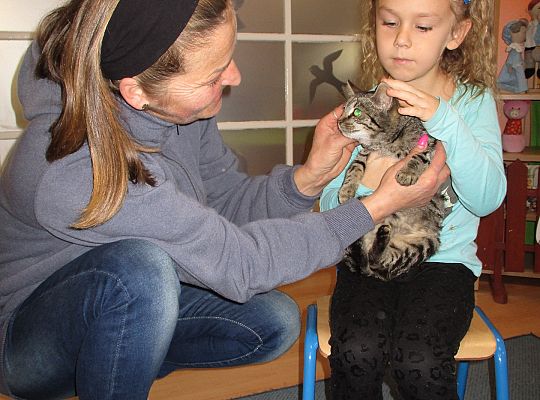 Poznajemy zwierzęta domowe, wizyta Pani ze schroniska-gr II