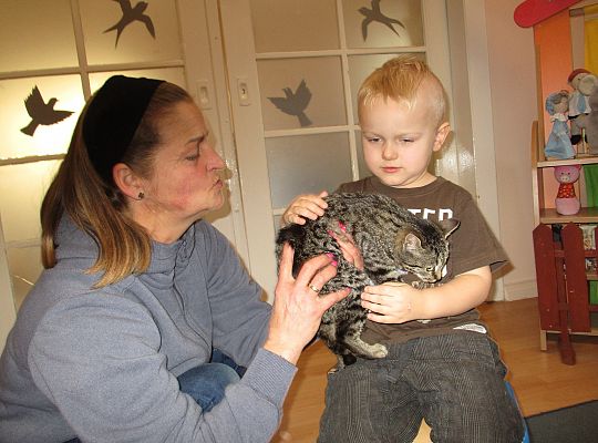 Poznajemy zwierzęta domowe, wizyta Pani ze schroniska-gr II