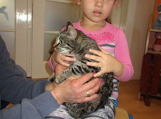 Poznajemy zwierzęta domowe, wizyta Pani ze schroniska-gr II