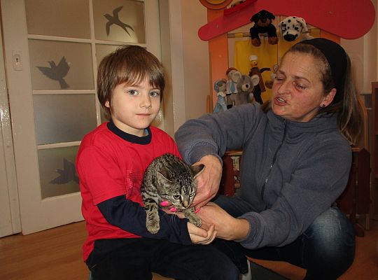 Poznajemy zwierzęta domowe, wizyta Pani ze schroniska-gr II