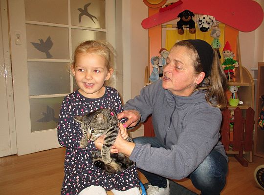 Poznajemy zwierzęta domowe, wizyta Pani ze schroniska-gr II