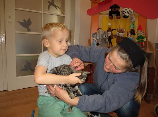 Poznajemy zwierzęta domowe, wizyta Pani ze schroniska-gr II