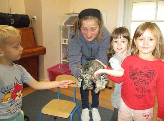 Poznajemy zwierzęta domowe, wizyta Pani ze schroniska-gr II