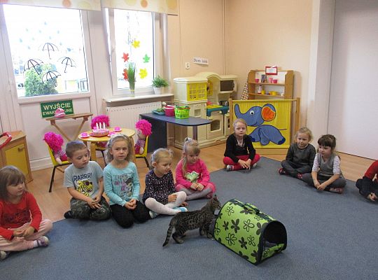 Poznajemy zwierzęta domowe, wizyta Pani ze schroniska-gr II